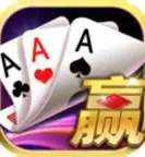 金花游戏手机版