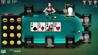 JJ德州扑扑克官网版图1