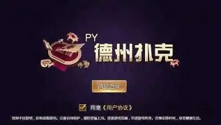 JJ德州扑扑克官网版图3