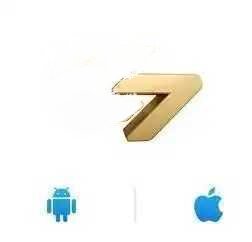 777电子平台
