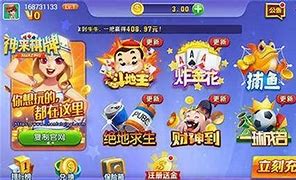 神来棋牌老版本图3