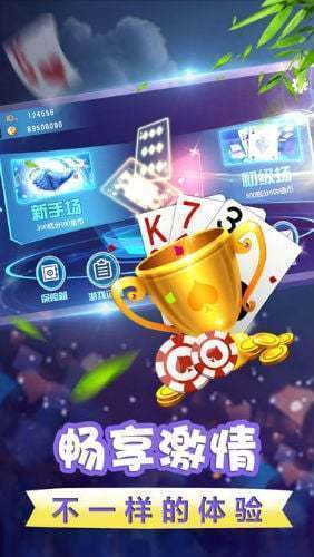单机金花三张牌图2