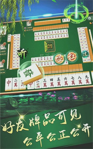 丰城呱呱棋牌双剑官方版图3