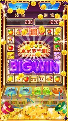 水果机老虎机安卓版图1