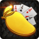 长吉棋牌新版本2025版