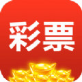 1141cc(彩票)