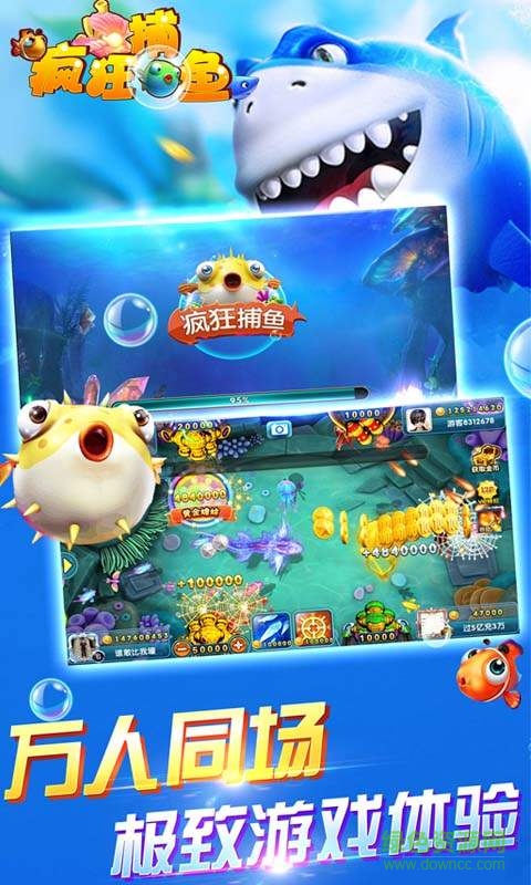 鱼丸疯狂捕鱼大作战图2