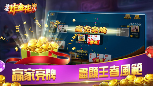 炸金花游戏单机免费版图2