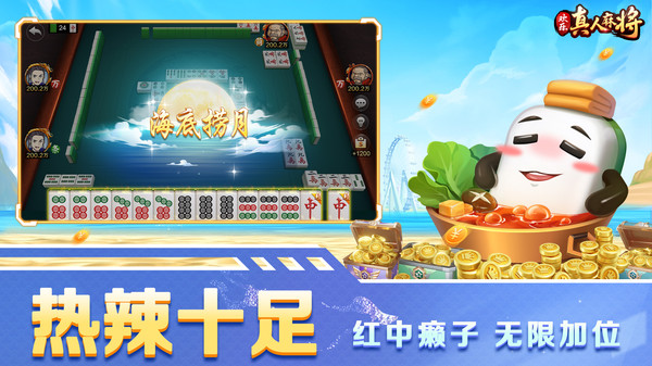 海南琼崖海南麻将图5