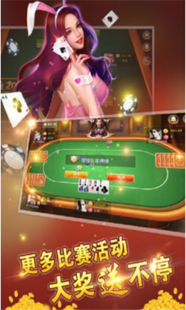 二十一点棋牌图2