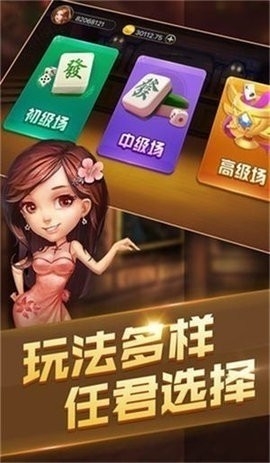 黑杰克21单机版