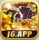 j6国际官网版