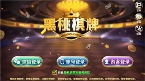 黑桃棋牌(3)