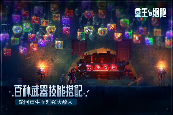 重生细胞(无需付费)(1)