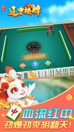 辽宁棋牌(2)