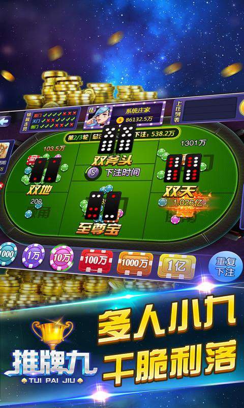 推牌9游戏安卓版(1)