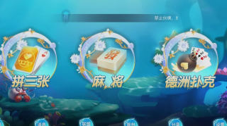 土豪赢三张金币版(4)
