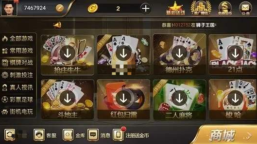 13095006q4gf.png