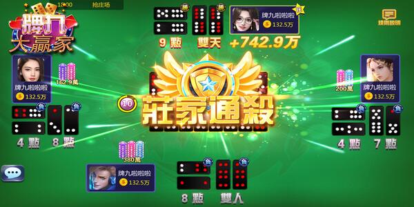 牌九游戏官方版(4)