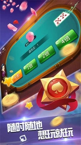 金丰棋牌老版本(3)