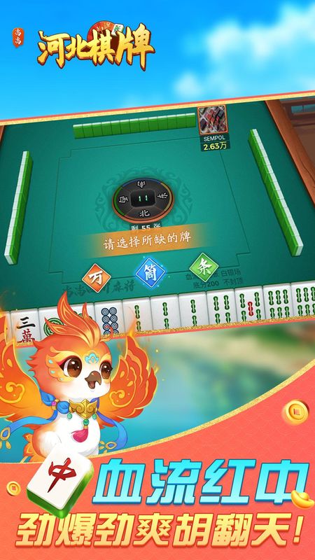 河北棋牌(5)