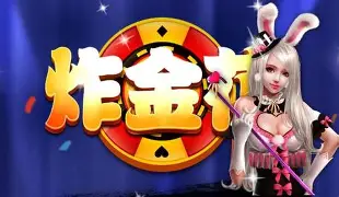 金花平台软件