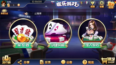 棋乐棋牌dsqp8图2
