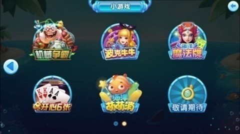 老版本掌上棋牌zsqp(2)