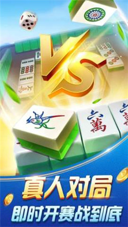 2017旧版琼崖麻将(1)