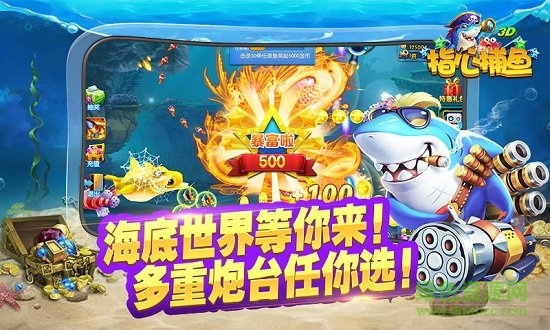 新金蟾捕鱼高爆版